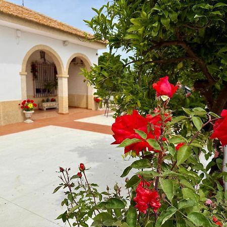 הוילה Cañada del Rabadán La Casa Del Flamenco מראה חיצוני תמונה