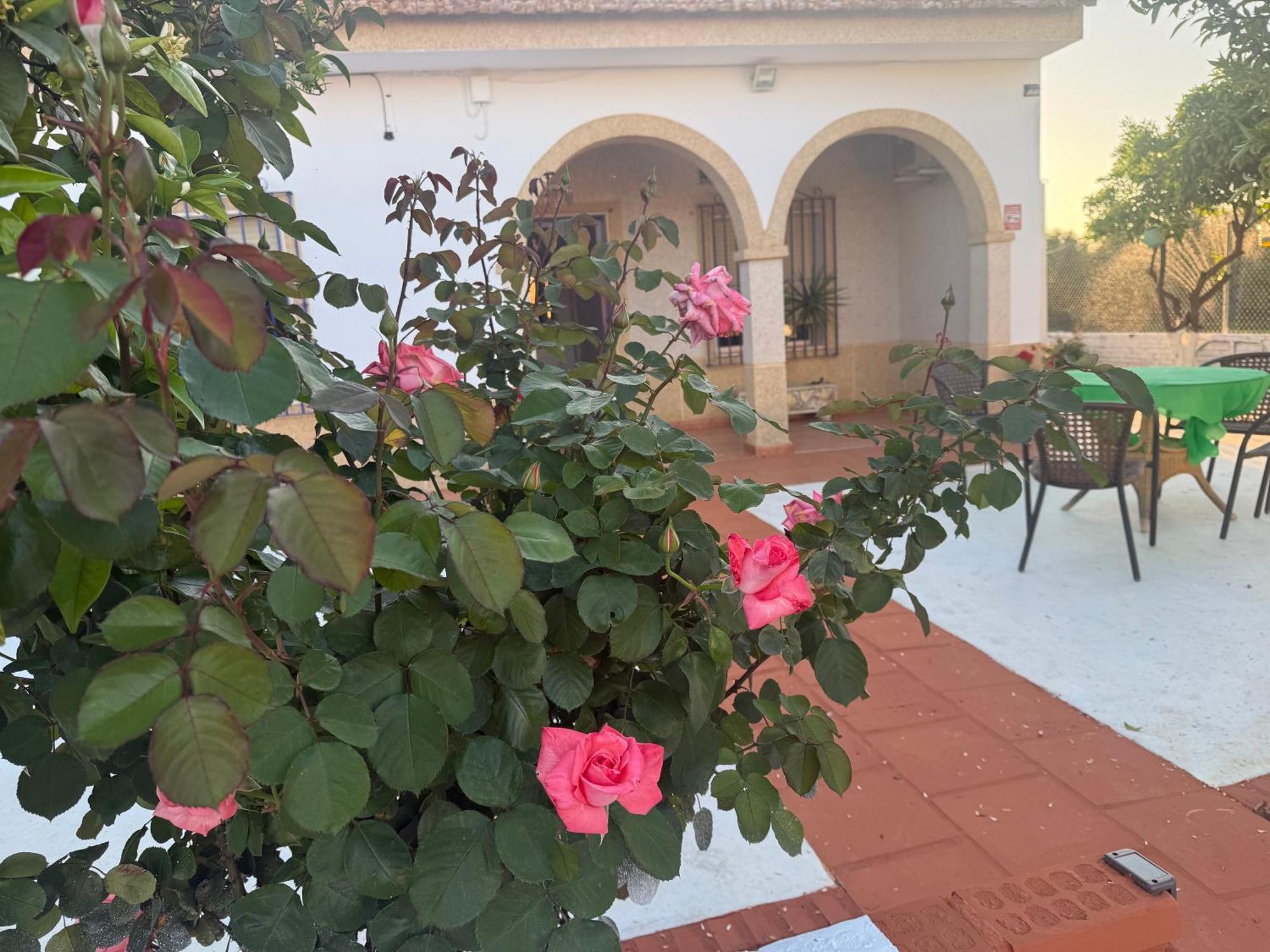 הוילה Cañada del Rabadán La Casa Del Flamenco מראה חיצוני תמונה