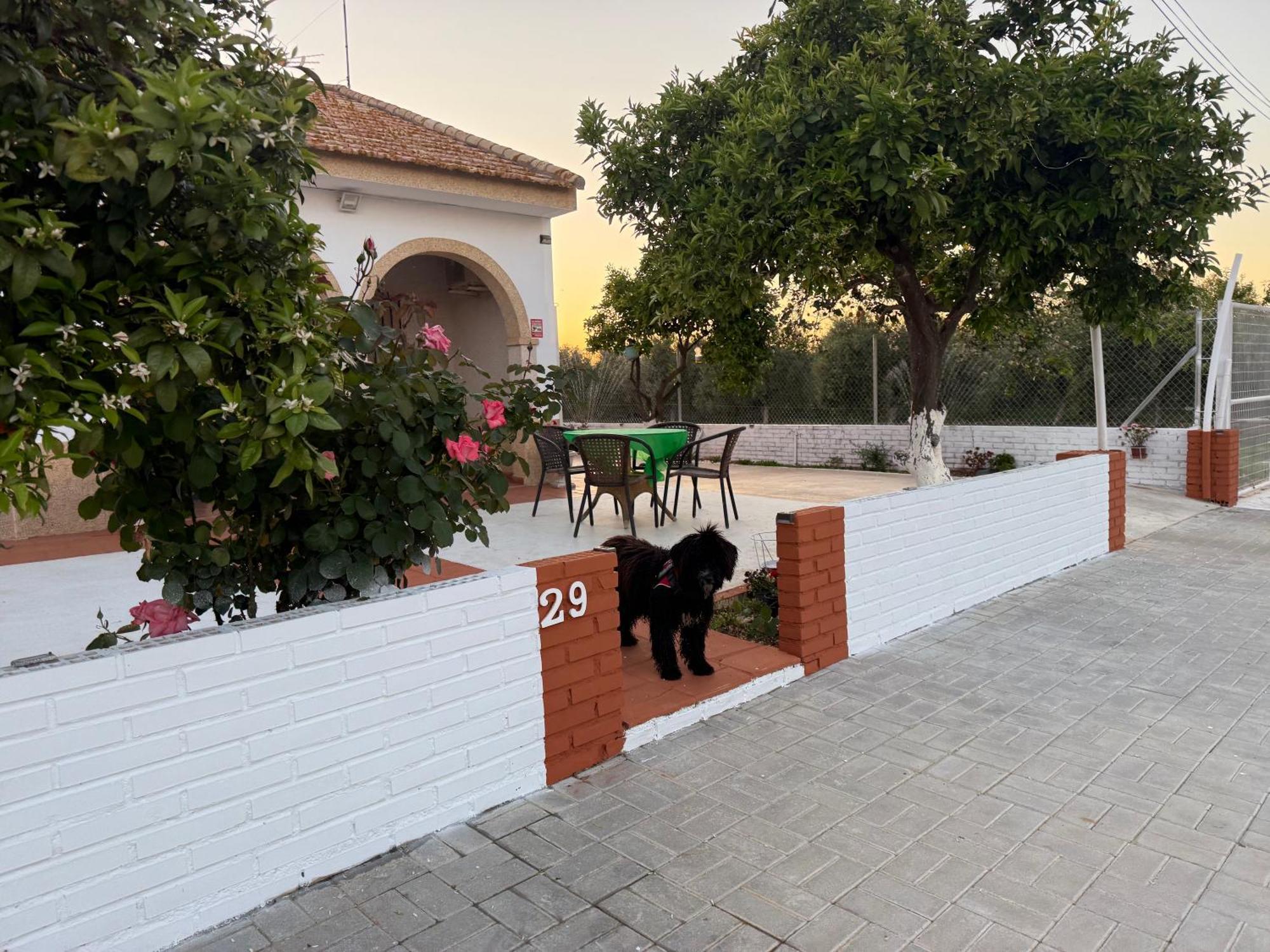 הוילה Cañada del Rabadán La Casa Del Flamenco מראה חיצוני תמונה
