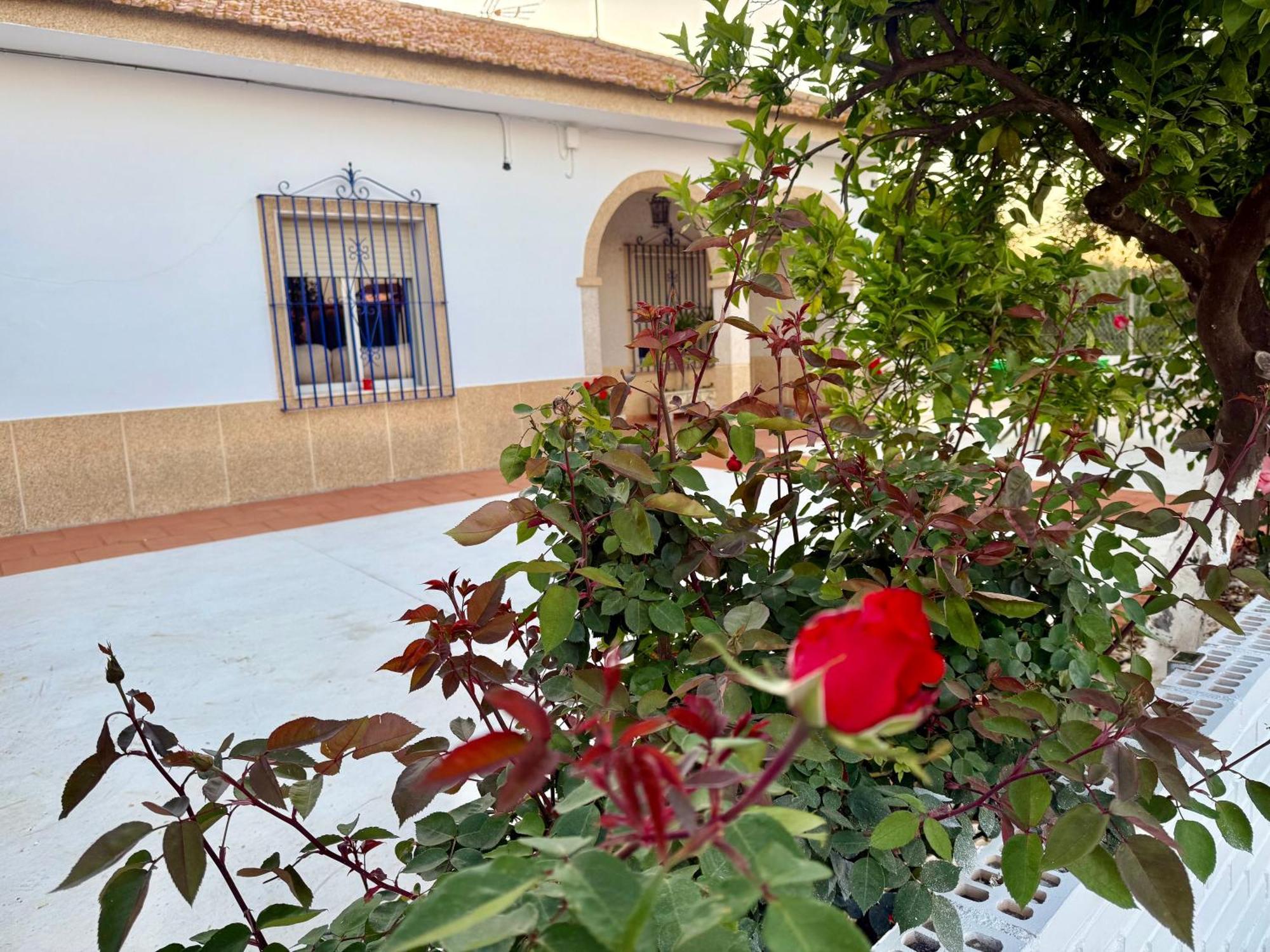הוילה Cañada del Rabadán La Casa Del Flamenco מראה חיצוני תמונה