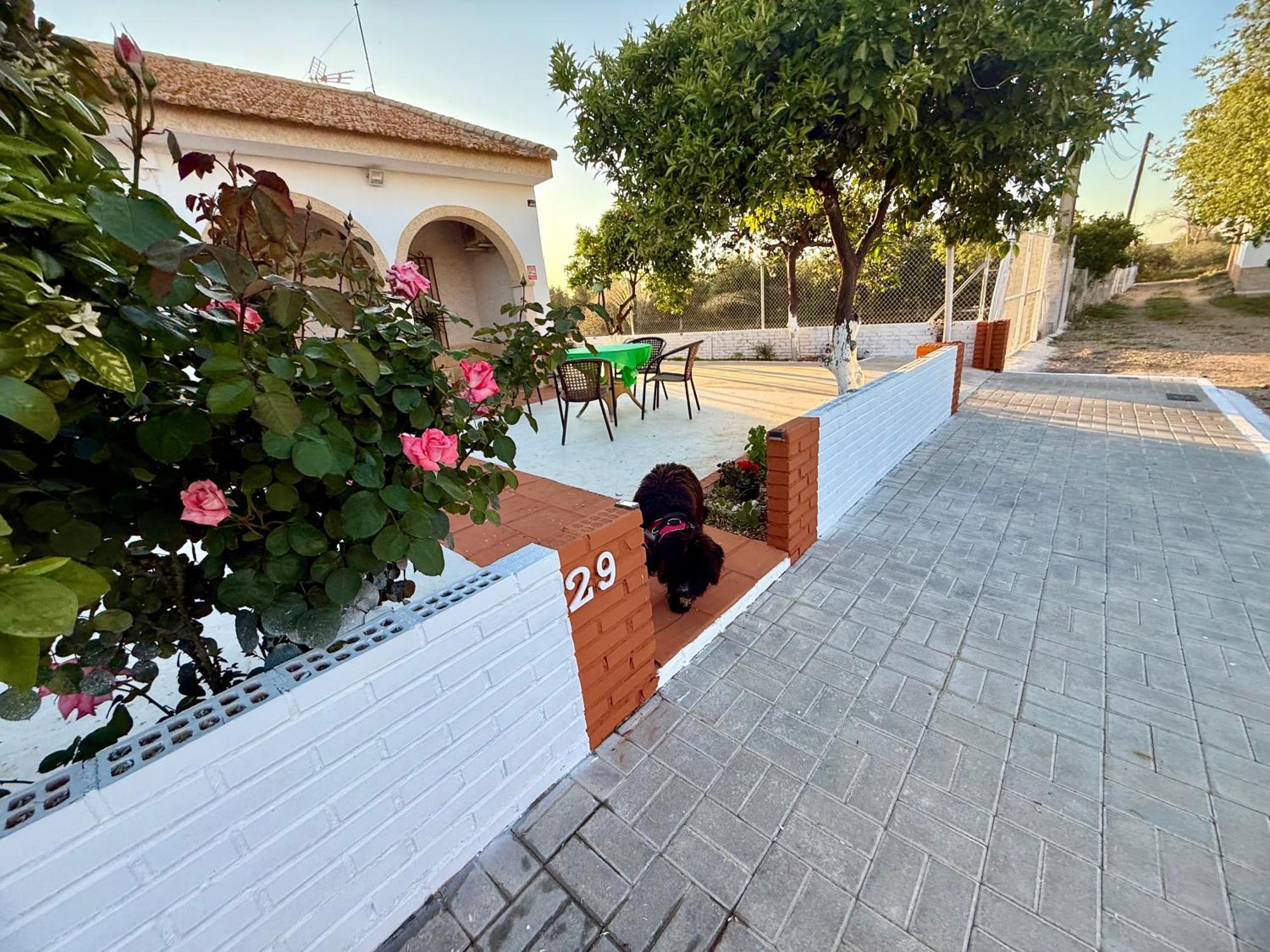 הוילה Cañada del Rabadán La Casa Del Flamenco מראה חיצוני תמונה