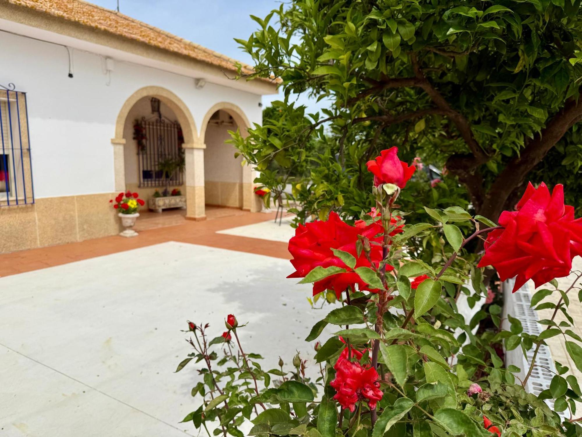 הוילה Cañada del Rabadán La Casa Del Flamenco מראה חיצוני תמונה