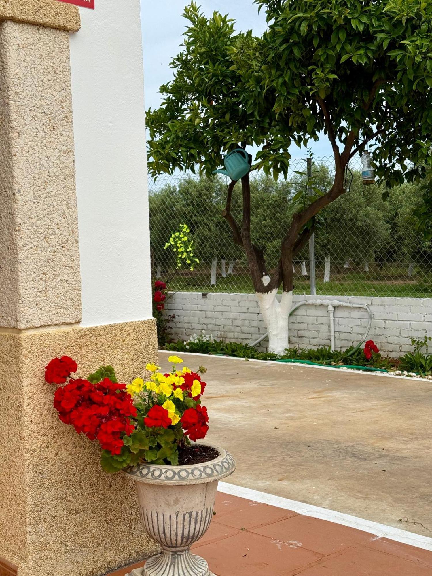הוילה Cañada del Rabadán La Casa Del Flamenco מראה חיצוני תמונה